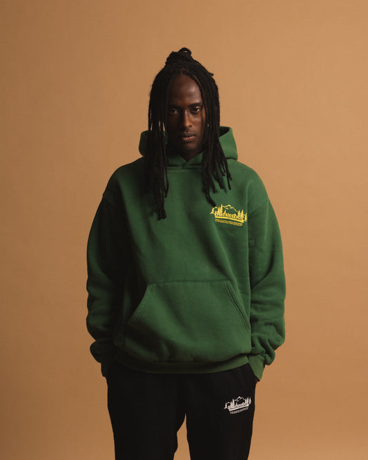 Cozy Washed Green Hoodie